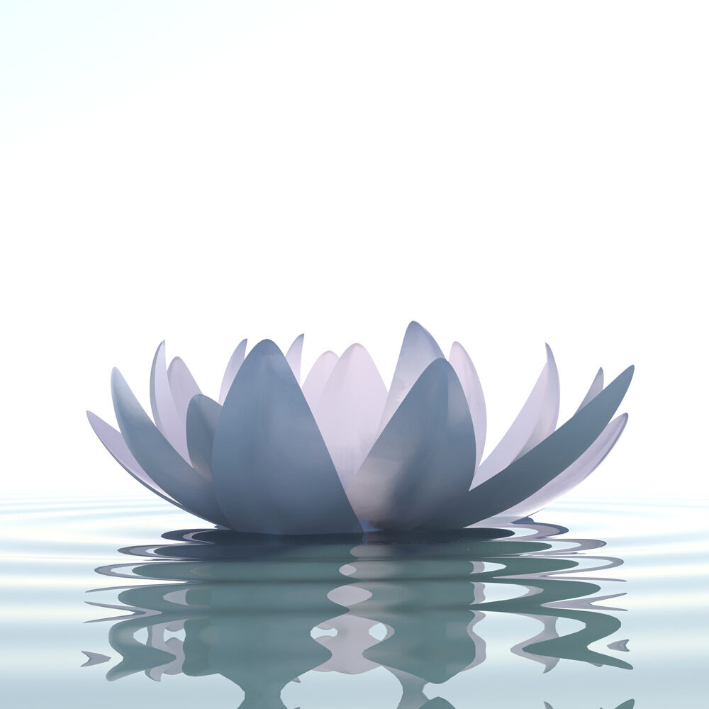 about-usLotus-flower-on-water-