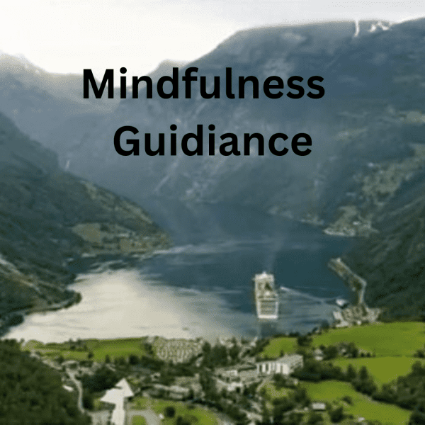 Mindfulness Guidance