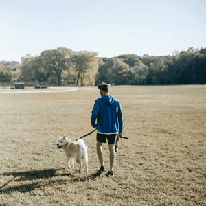 Walking for a Healthy Body and Mind